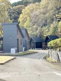 【静岡県/伊豆　紅葉🍁を眺めながら楽しめるキャンプ施設】