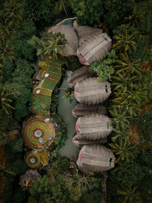 峇里 | 最具特色的Eco Resort 猶如進入阿凡達世界🙈