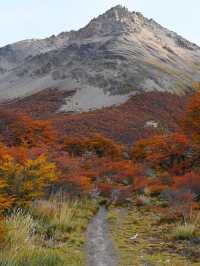 วิวระหว่างทาง Patagonia 