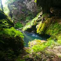 @ WESTCAVE OUTDOOR DISCOVERY CENTER.