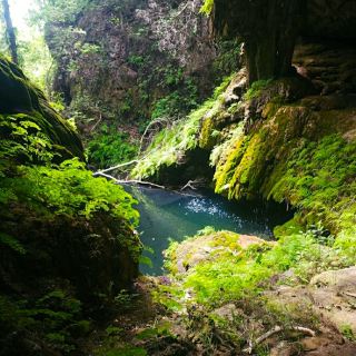 @ WESTCAVE OUTDOOR DISCOVERY CENTER.