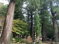世界遺産　河口浅間神社