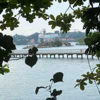 Chek Jawa Wetlands