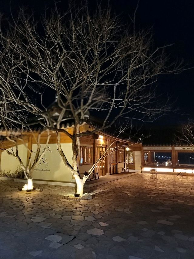 일몰부터 야경까지 다 예쁜 경주 베이글카페☕️