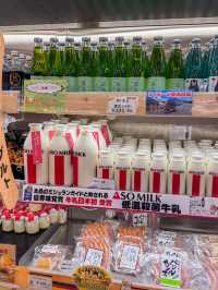 熊本｜與火山口那邊截然不同的草千里
