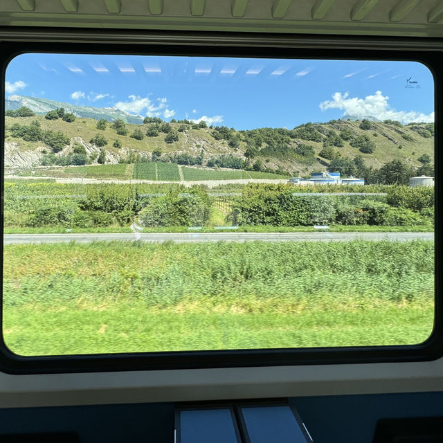스위스 기차여행🚊
