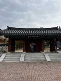 서울 근교 가을 핫플, 은행나무 길, 단풍 명소