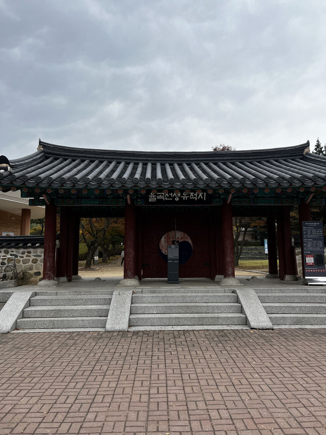 서울 근교 가을 핫플, 은행나무 길, 단풍 명소
