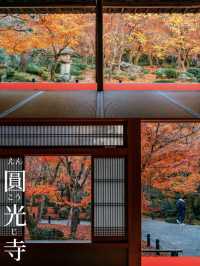 景點推薦：圓光寺——京都紅葉的隱藏秘境