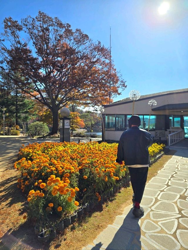 국화와 단풍이 아름다운 청주 가을여행지🤎