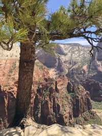 Visiting Zion is like going to another world!