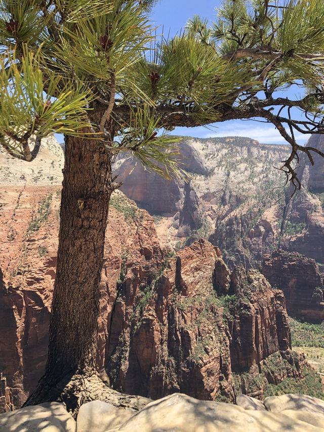 Visiting Zion is like going to another world!
