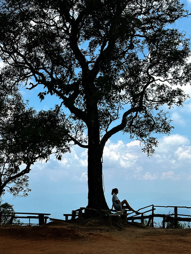 Doi Suthep National Park: big journey