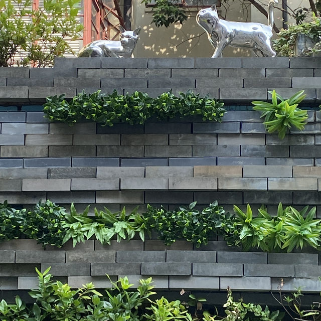 上海，覺得比香港更國際大都會