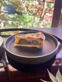 【朝倉カフェ】紅葉を楽しめる隠れ家のようなカフェ