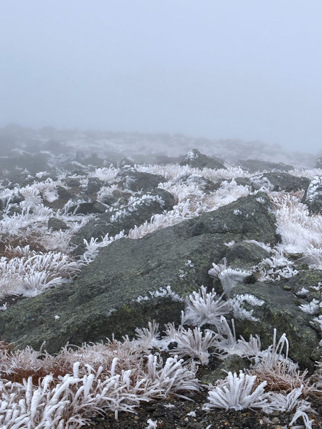 Freezing but beautiful Mountain Washington