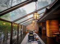 TOUKA ร้านอาหารญี่ปุ่นคุณภาพเยี่ยม