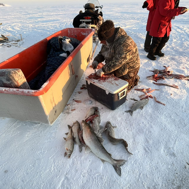 【カナダ・イエローナイフ】冬の醍醐味！グレートスレーブ湖でアイスフィッシング体験🐟