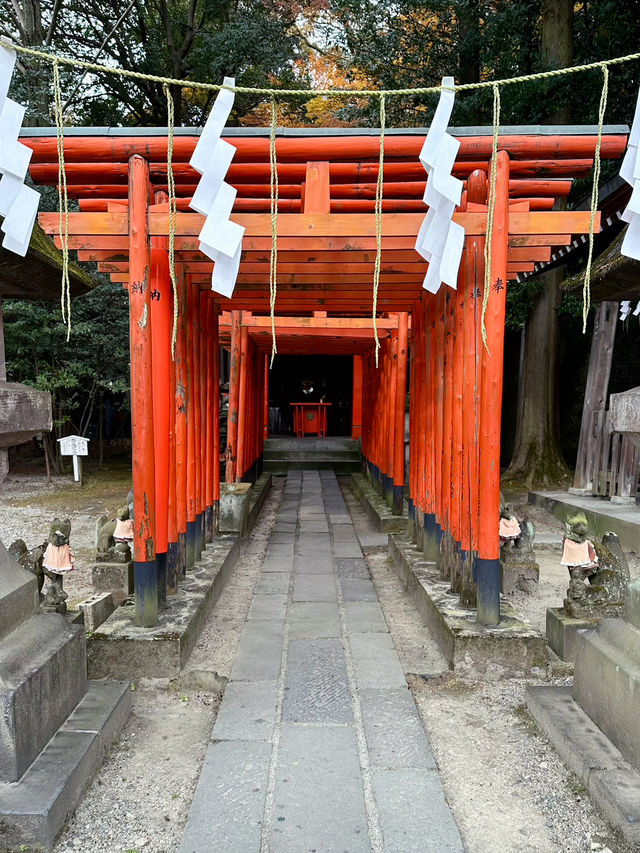 【栃木　宇都宮二荒山神社】