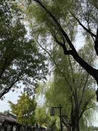 เดินเล่นย่าน Shichahai ในปักกิ่ง