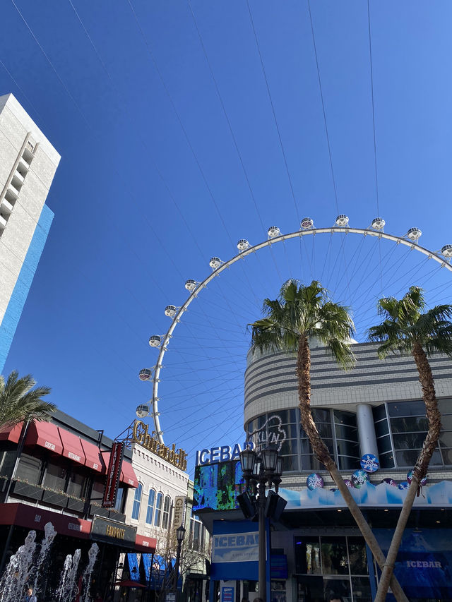 Las Vegas Things to Do (Family Travel Edition)