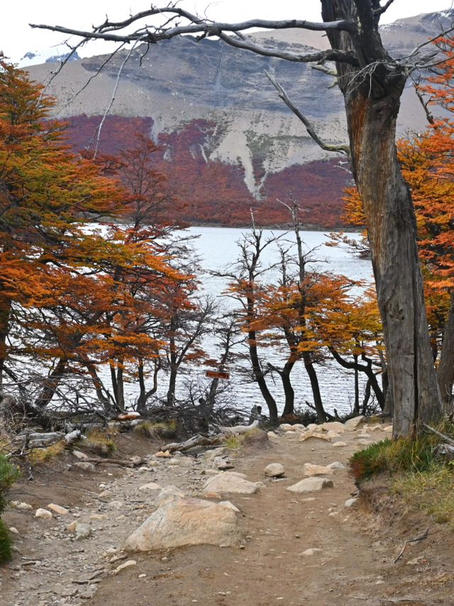 ภาพวิวระหว่างทางของการเดิน Hiking Fitz Roy