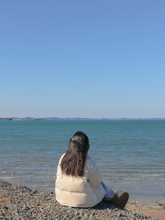 바다부터 체험까지, 겨울에 더 즐거운 보령여행🌊❄️🩵