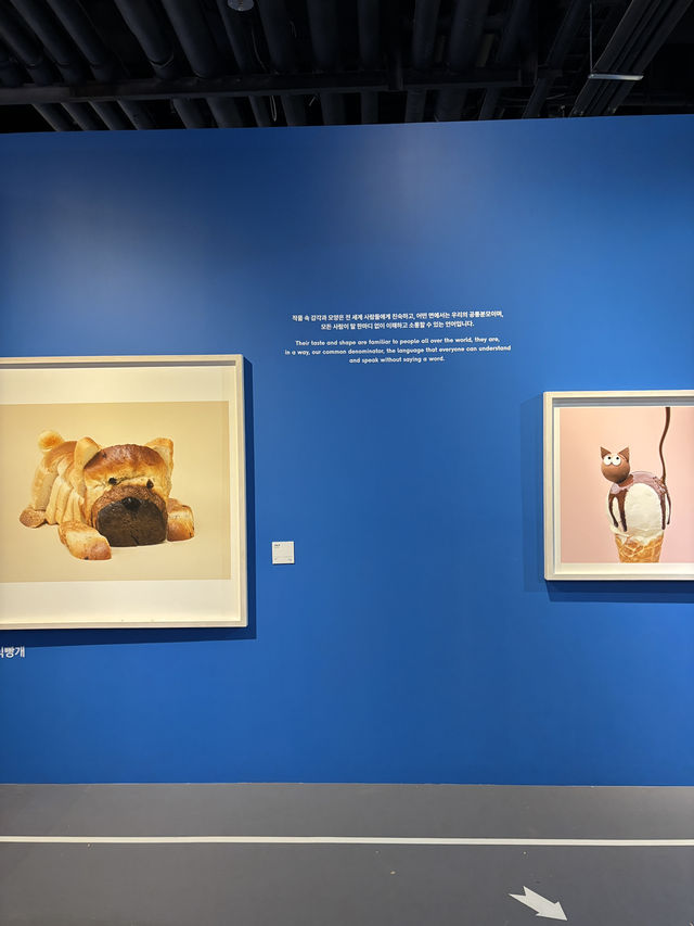알록달록한 실내 전시 추천 여수 헬가스텐첼💛