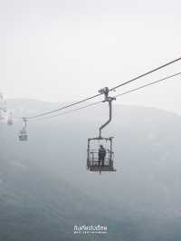 🚡 ดูวิวเกาะฮ่องกงบนกระเช้านองปิง