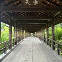 在東福寺尋找心靈的寧靜🌳