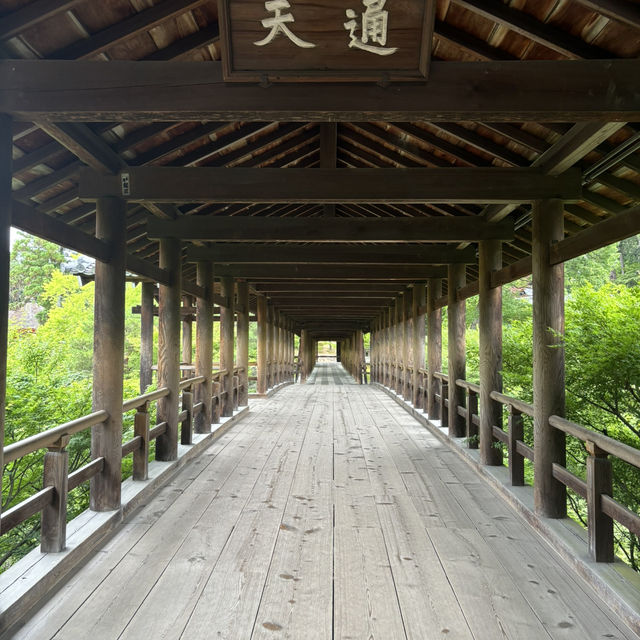 在東福寺尋找心靈的寧靜🌳