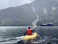 A Journey to Doubtful Sound: A Slice of Heaven