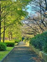 猿江恩賜公園：東京悠閒綠洲的現代樂章