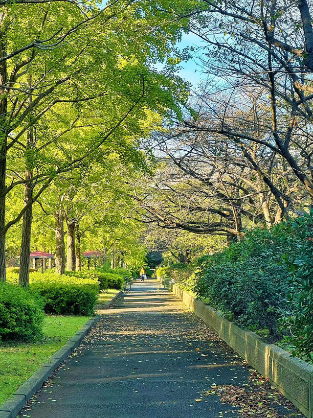 猿江恩賜公園：東京悠閒綠洲的現代樂章
