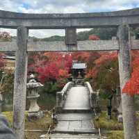 京都へ行こう！京都の紅葉【永観堂】🍁
