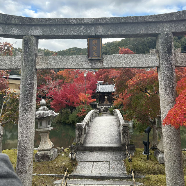 京都へ行こう！京都の紅葉【永観堂】🍁