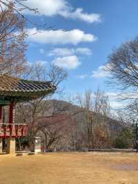 전주 한옥마을 뷰가 멋진 ‘오목대'