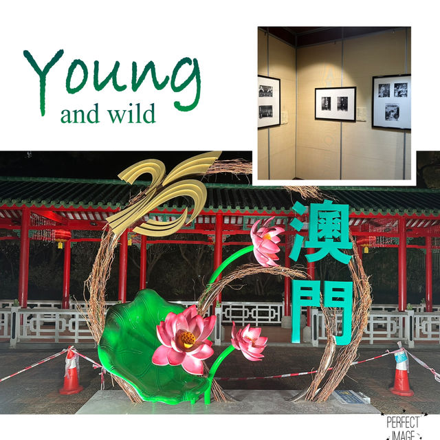 澳門特色盧園養心堂