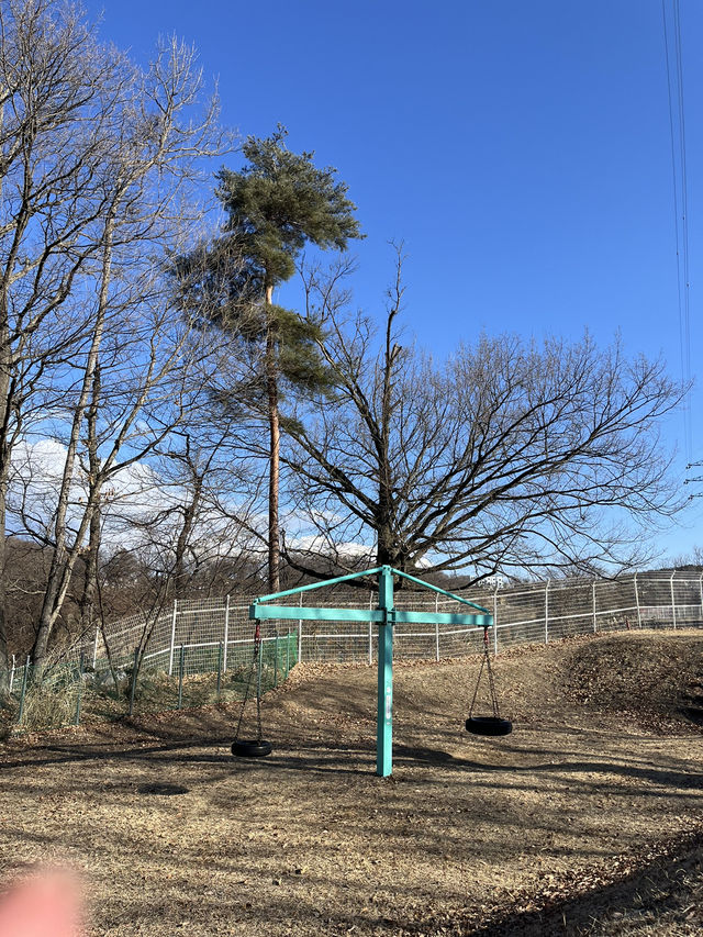 【小諸市🇯🇵】大型遊具で1日遊べる！とにかく広い大型公園🏞