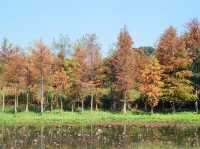 The Hong Kong Wetland Park — Nature in an Urbanscape