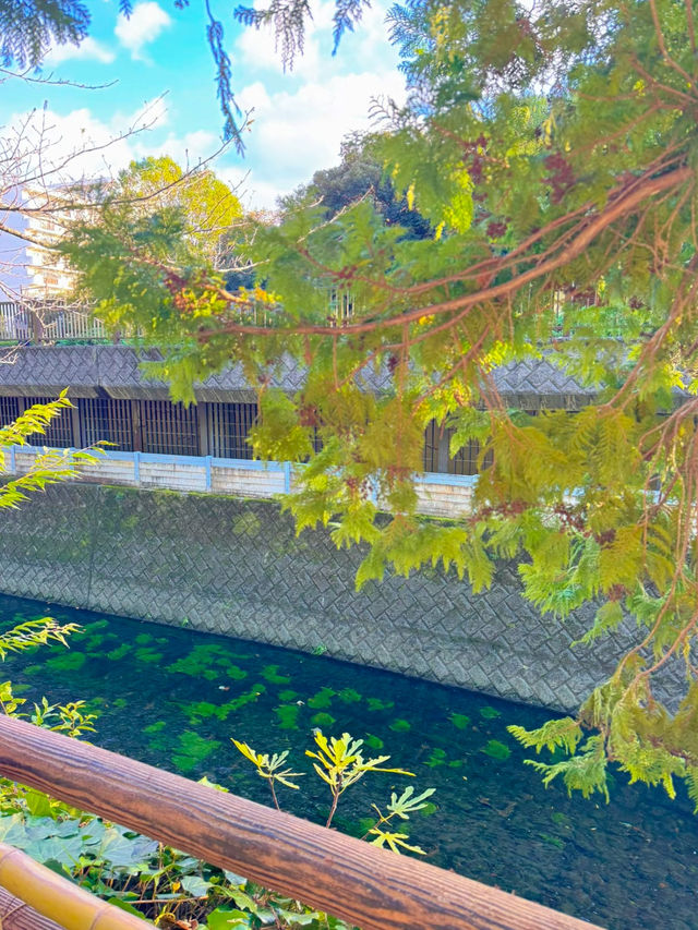 【東京】休日は哲学に触れに行こう!!