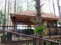 cedar ป่าสนคาเฟ่ @ เขาค้อ