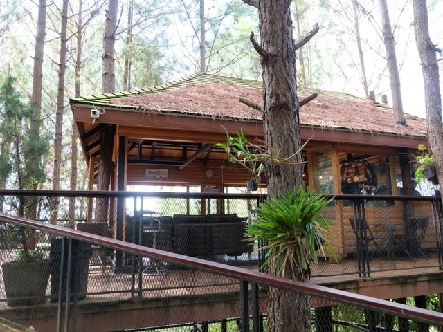 cedar ป่าสนคาเฟ่ @ เขาค้อ