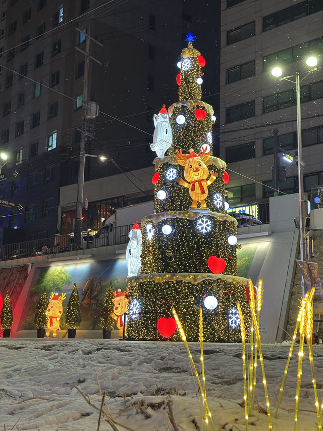 작년보다 더 화려해져 산책하기 좋은 서울 빛축제 추천🎄
