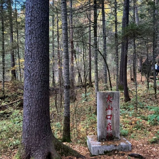 火山口地下森林｜地心探險的親子時光