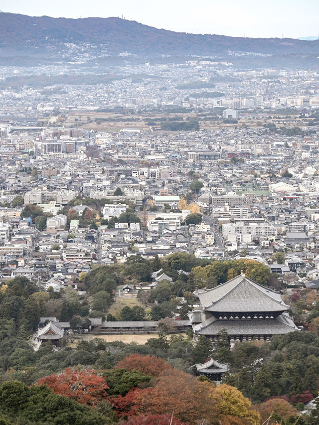 【奈良】気軽に登れて絶景！若草山