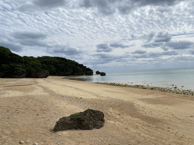 西表島