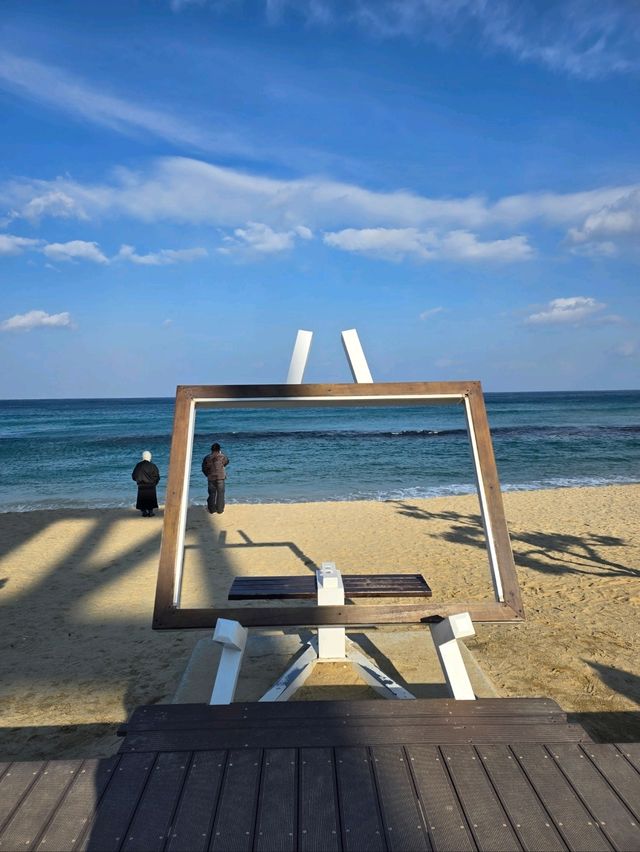 겨울바다의 아름다움이 가득한 강릉해변💙