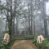 พระธาตุดอยช้างมูบ เชียงราย 🐘🏔