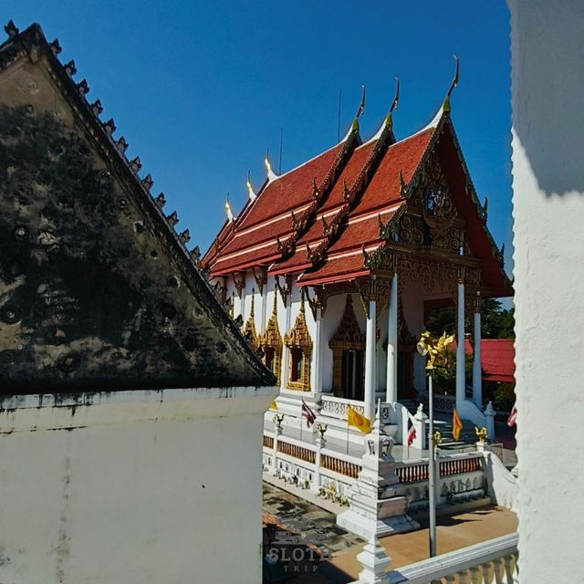 💯 วัดชมภูเวก